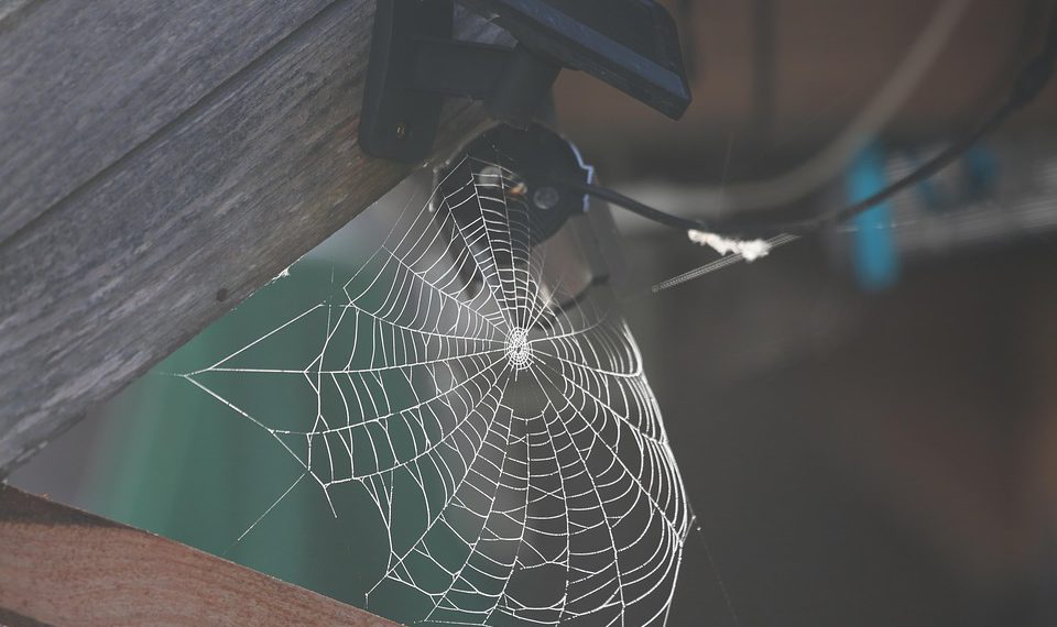 מדריך לאחסון אתרים מאובטח: כל מה שעליכם לדעת על SSL