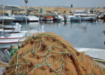 Interserver לעומת מתחרים: איך זה נערם בשנת 2023?