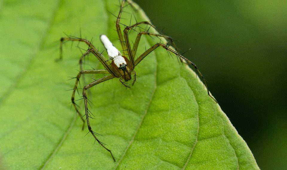 אירוח אתרים שיתופי לעומת אירוח פרטי: ההבדלים המהותיים