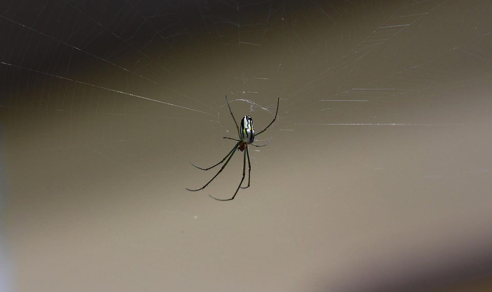 תמיכת הלקוחות של IPAGE: צלילה עמוקה לשירות ושביעות רצון