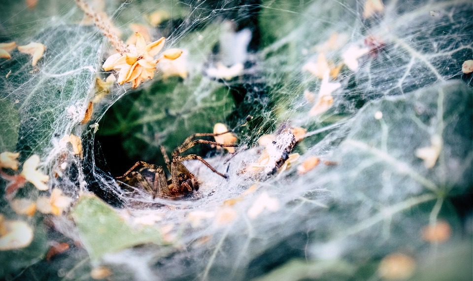 היתרונות של אירוח אתרים: למה כל עסק קטן צריך את זה?