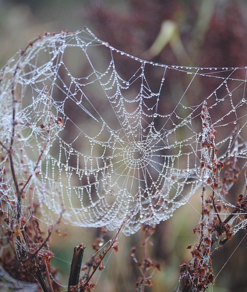 היתרונות של חבילות אירוח אתרים משתלמות לעסקים קטנים