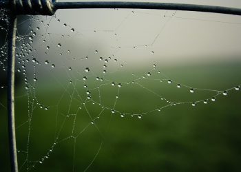 הפוך את האתר שלך לבטוח: חשיבות התמיכה ב-SSL באחסון אתרים