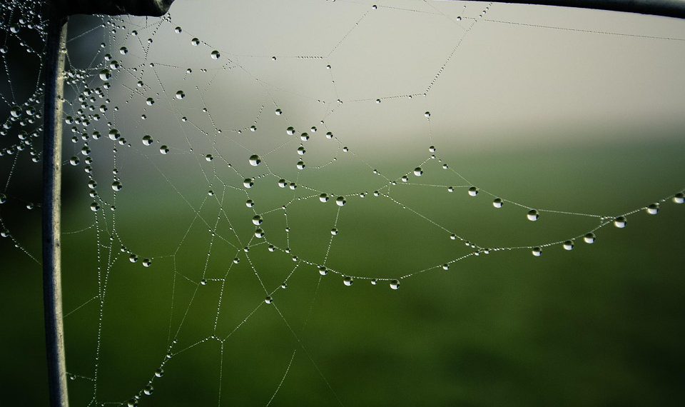 הפוך את האתר שלך לבטוח: חשיבות התמיכה ב-SSL באחסון אתרים