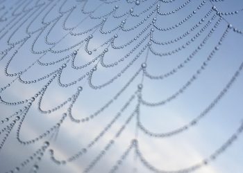 ספקי אירוח אתרים: מה הצרכים שלך וכיצד לבחור את הטוב ביותר?