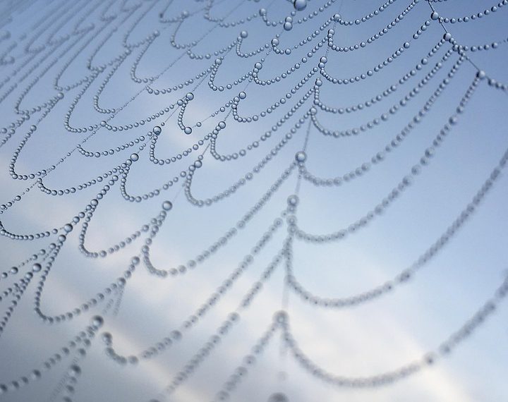 ספקי אירוח אתרים: מה הצרכים שלך וכיצד לבחור את הטוב ביותר?