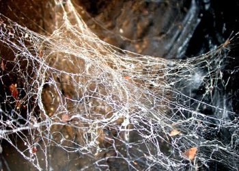 אירוח אתרים בענן לעסקים קטנים: יתרונות ואתגרים