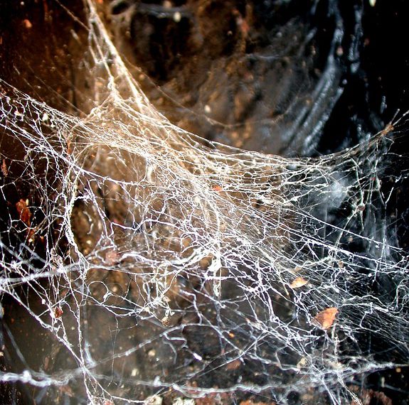 אירוח אתרים בענן לעסקים קטנים: יתרונות ואתגרים