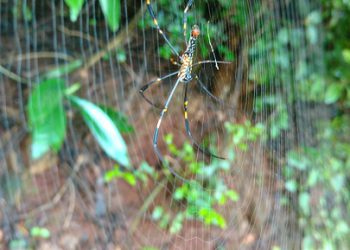תחילת העבודה עם Hostinger: מדריך למתחילים לאירוח אתרים