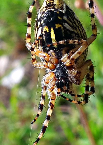 שדרגו את האתר שלכם: אירוח אתרים עם תמיכה טכנית 24/7 להצלחה ללא הפסקה