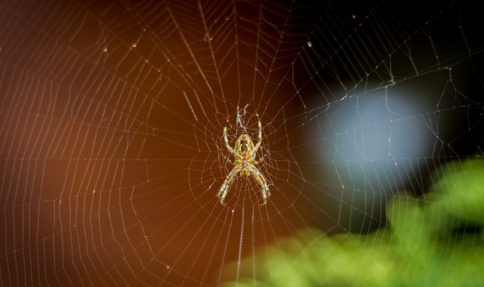 היתרונות של בחירת DreamHost עבור אתר המסחר האלקטרוני שלך