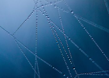 מקסום ביצועי האתר שלך: היתרונות של שימוש בענן