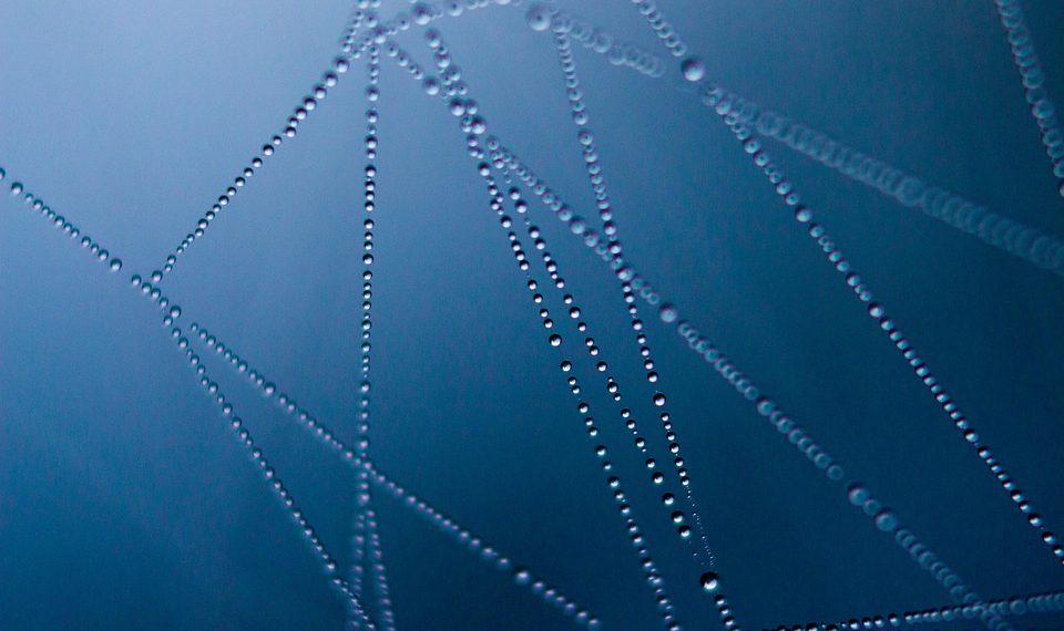 מקסום ביצועי האתר שלך: היתרונות של שימוש בענן