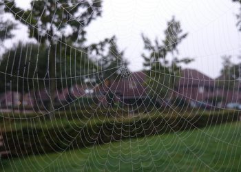 אירוח אתרים: המדריך ההתחלתי לכל מי שרוצה לבנות אתר