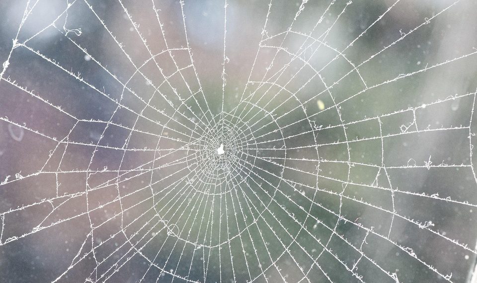 אבטחת מנוע WP: שיטות עבודה מומלצות לשמירה על אתר וורדפרס שלך