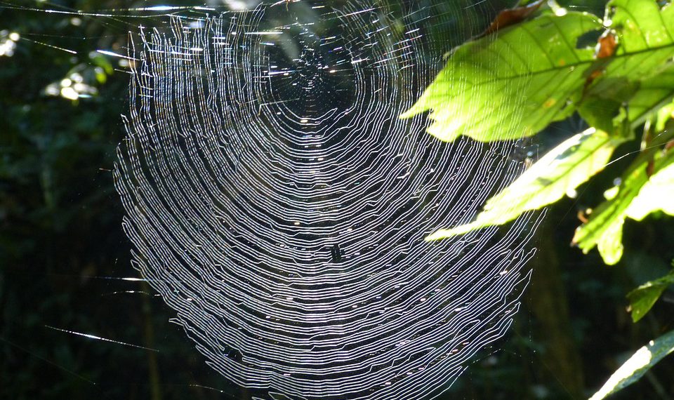 מדריך מקיף לאירוח אתרים בינלאומי: מה לחפש