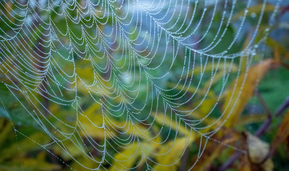 חקר Bluehost: תכונות, יתרונות וחוויות משתמש