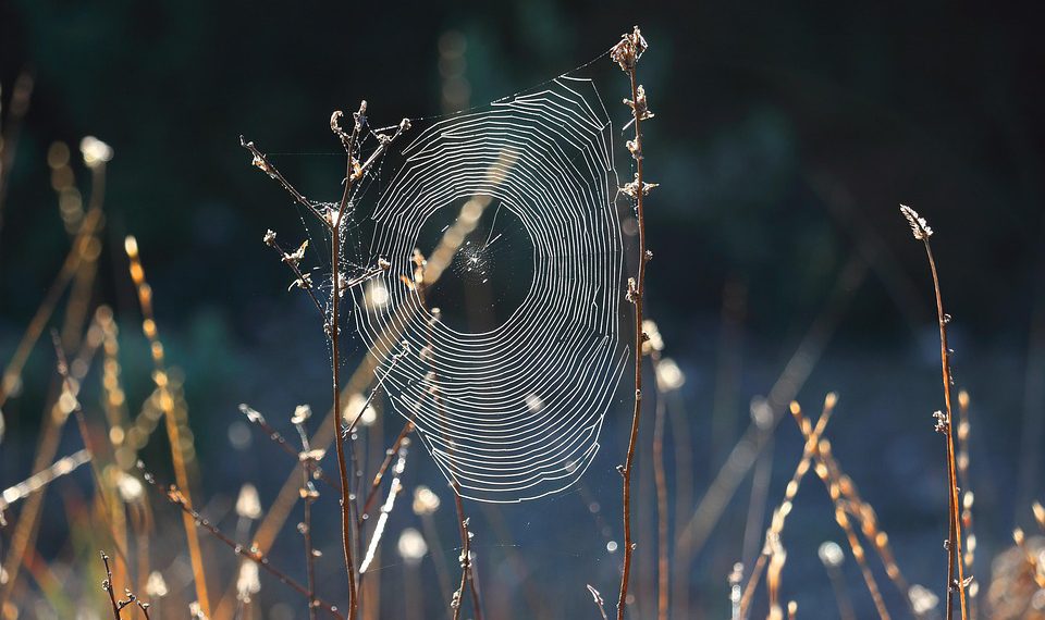 מה ההבדל בין סוגי אירוח אתרים וכיצד לבחור נכון?