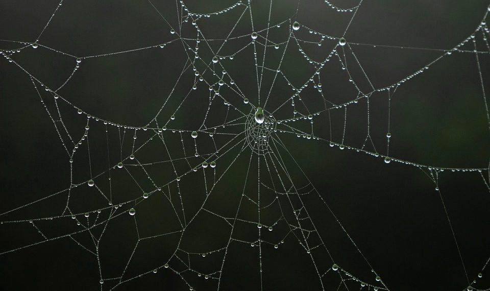 השוואה זו לצד זו של ספקי אירוח אתרים פופולריים