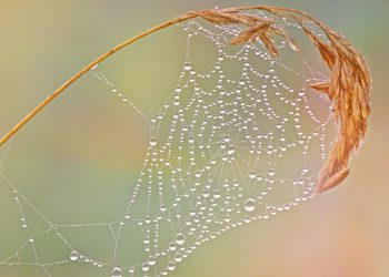 תמיכת הלקוחות של Interserver: האם הם באמת זמינים 24/7?