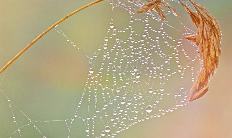 תמיכת הלקוחות של Interserver: האם הם באמת זמינים 24/7?