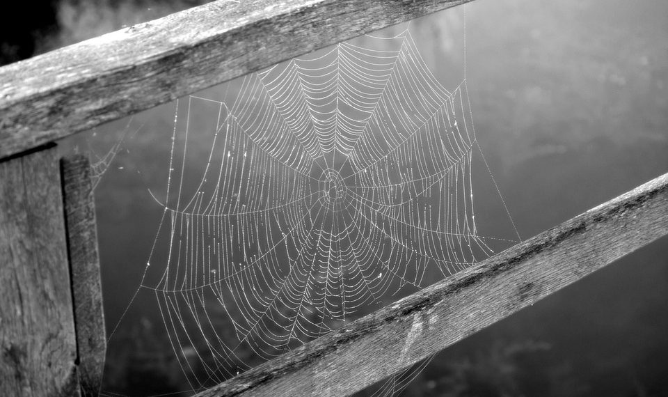 היתרונות והחסרונות של שימוש ב- HostGator לנוכחותך המקוונת