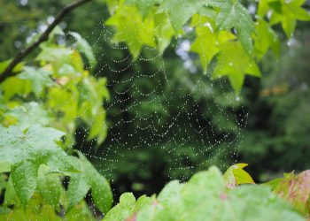 בחינת תכונות האבטחה של ipage: שמירה על אתר האינטרנט שלך בעולם דיגיטלי