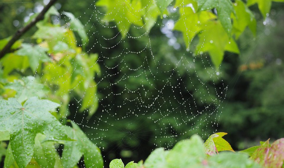 בחינת תכונות האבטחה של ipage: שמירה על אתר האינטרנט שלך בעולם דיגיטלי