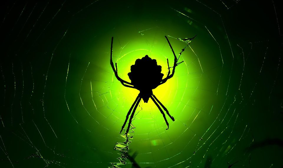 בחינת ערימת הטכנולוגיה החדשנית של קינסטה לביצועי אתר אופטימליים