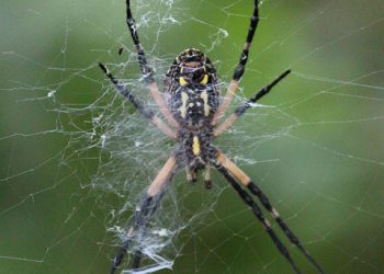 5 טעויות נפוצות בבחירת אחסון לאתרי מסחר וכיצד להימנע מהן