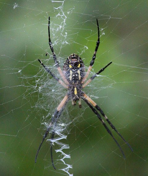 5 טעויות נפוצות בבחירת אחסון לאתרי מסחר וכיצד להימנע מהן