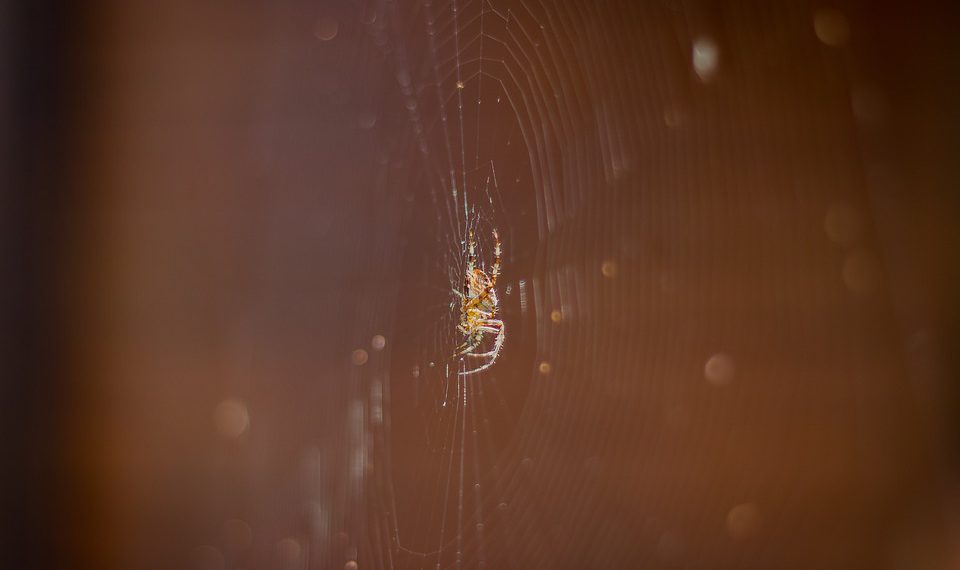 אירוח אתרים: מיתוסים ומציאות