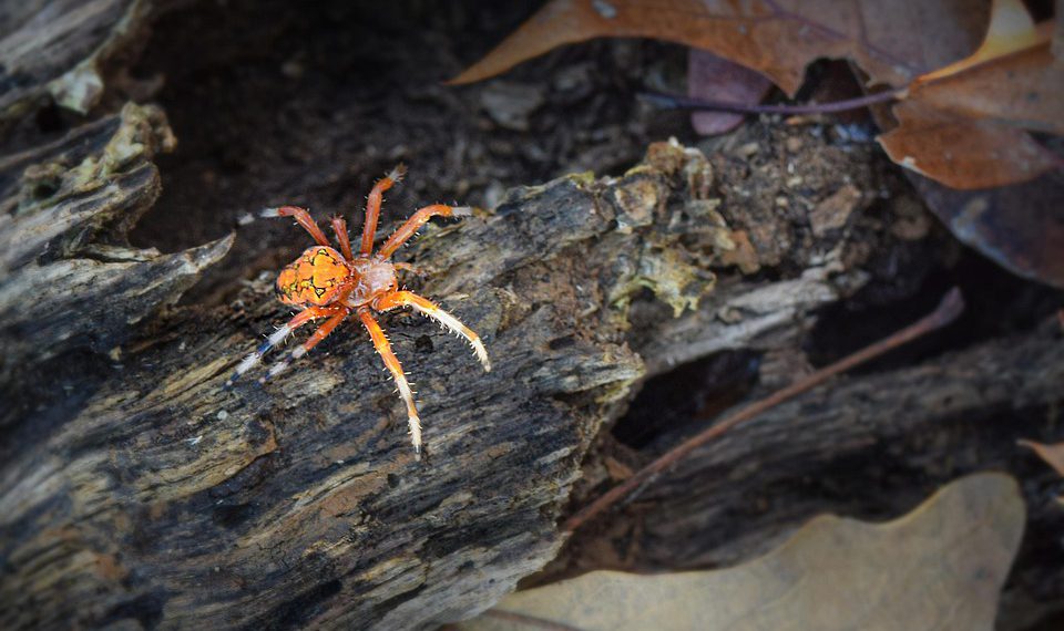 מריצים את העסק: מתי לבחור בשרת ייעודי ומתי להסתפק באירוח שיתופי?