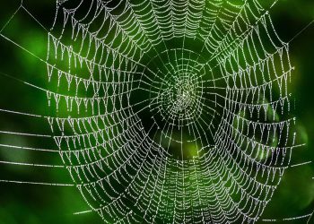 הכוח שבחור: איך תמיכה טכנית 24/7 יכולה לשדרג את חוויית הלקוחות שלכם