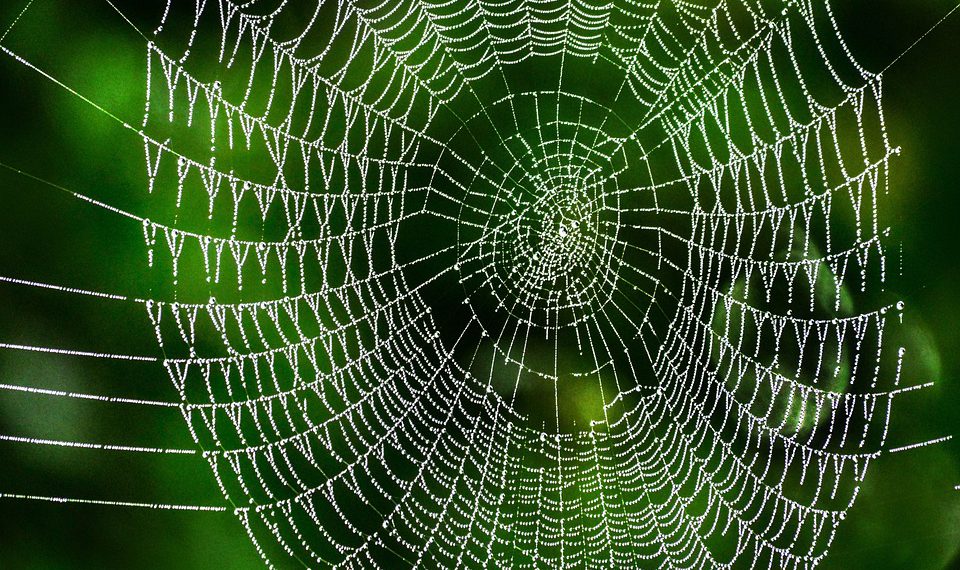 הכוח שבחור: איך תמיכה טכנית 24/7 יכולה לשדרג את חוויית הלקוחות שלכם