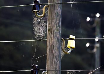 סיפורי הצלחה של לקוחות: כיצד Cloudways הפכו עסקים בשנת 2023