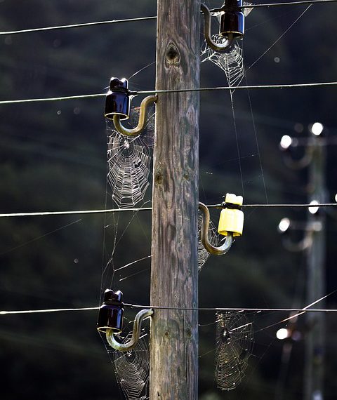 סיפורי הצלחה של לקוחות: כיצד Cloudways הפכו עסקים בשנת 2023