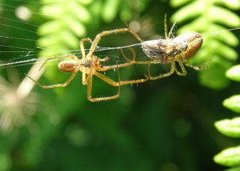10 חברות אחסון אתרים זולות שאסור לפספס
