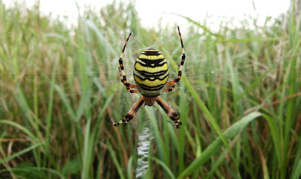 אירוח אתרים עם נפח בלתי מוגבל: האם הנפח באמת בלתי מוגבל?
