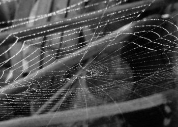 תחילת העבודה עם Cloudways: מדריך שלב אחר שלב למתחילים