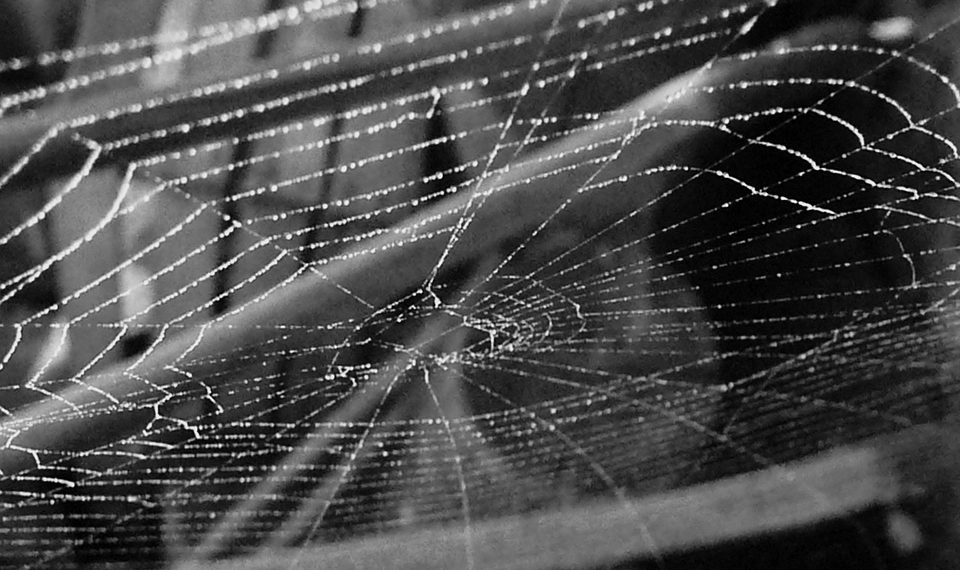 תחילת העבודה עם Cloudways: מדריך שלב אחר שלב למתחילים