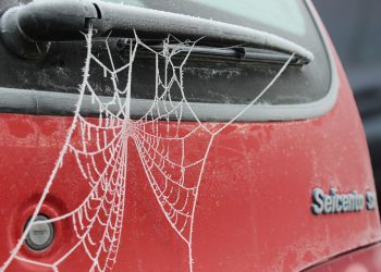 מהם היתרונות של Hosting ישראלי? איך זה משפיע על SEO וביצועי האתר שלך