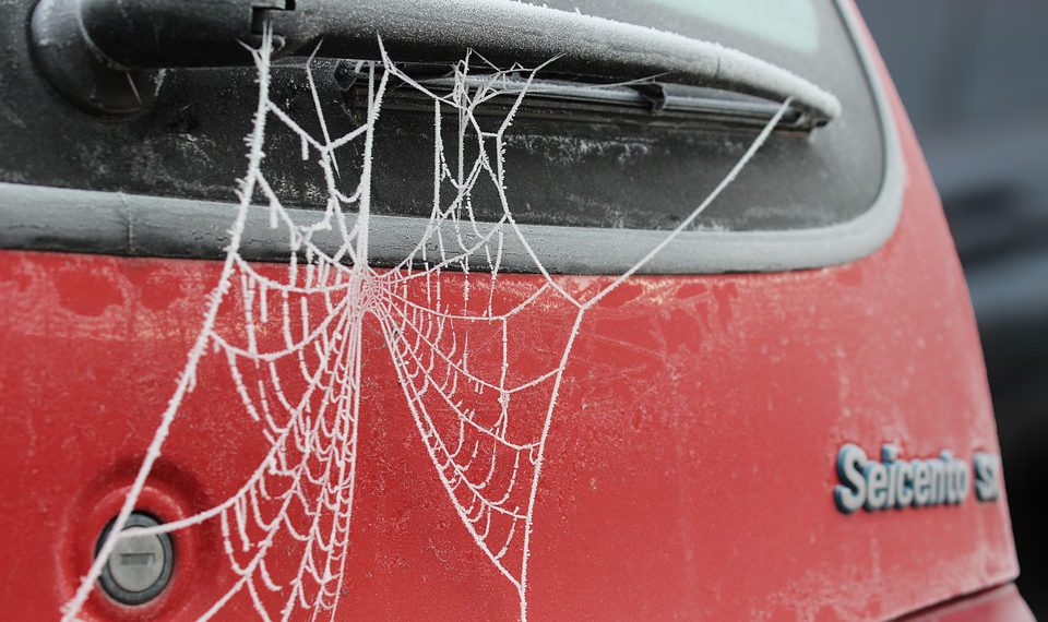 מהם היתרונות של Hosting ישראלי? איך זה משפיע על SEO וביצועי האתר שלך