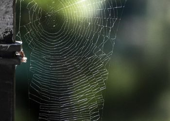 העתיד של אחסון אתרים לאתרי מסחר: מה צפוי ב-2024?