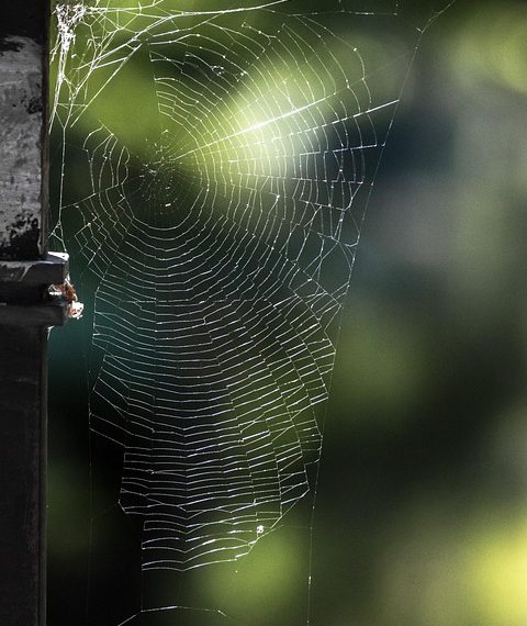 העתיד של אחסון אתרים לאתרי מסחר: מה צפוי ב-2024?
