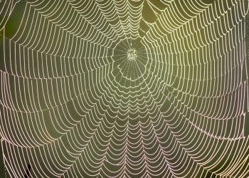 הקווים המנחים לבחירת ספק אירוח עם נפח בלתי מוגבל