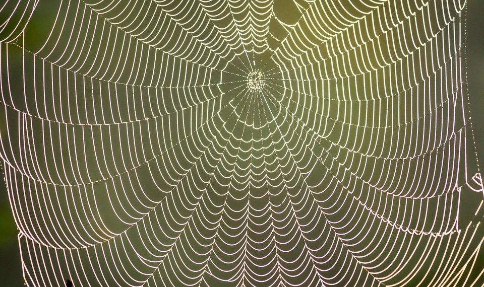 הקווים המנחים לבחירת ספק אירוח עם נפח בלתי מוגבל