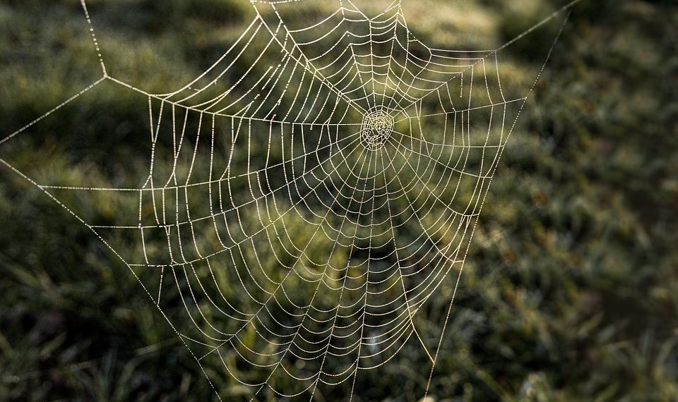 מקסם את ביצועי האתר שלך: טיפים לשימוש ב-InMotion Hosting