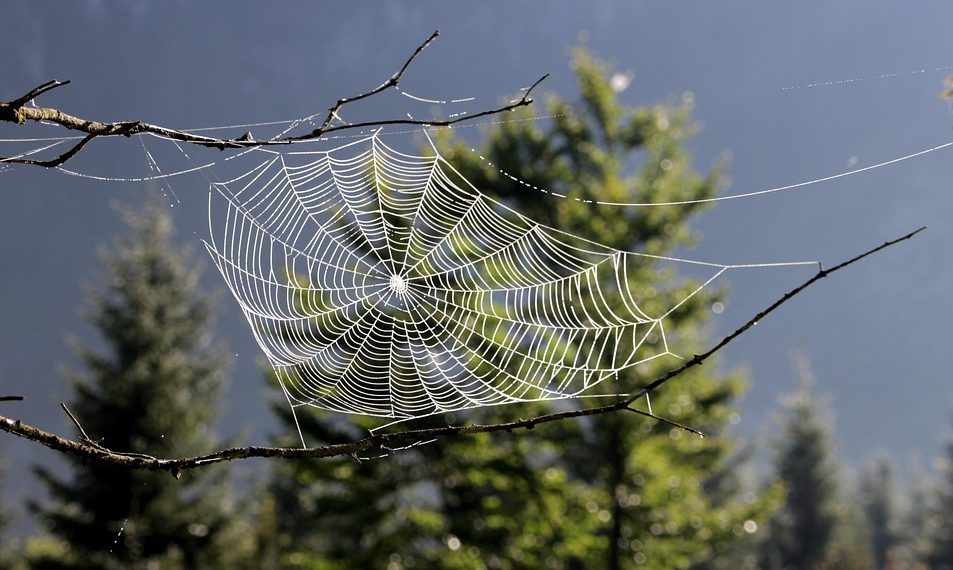 המלצות על ספקי אירוח אתרים עם תמיכה טכנית 24/7: מי שווה את הכסף?