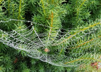 הטעויות הגדולות שצריך להימנע מהן בעת επιλογת שירות אירוח אתרים